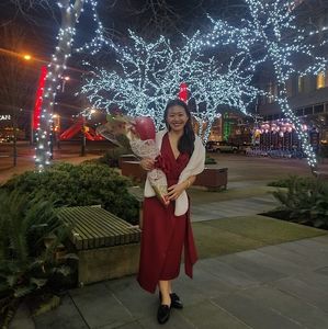 Ted Baker Dark Red Dress 0